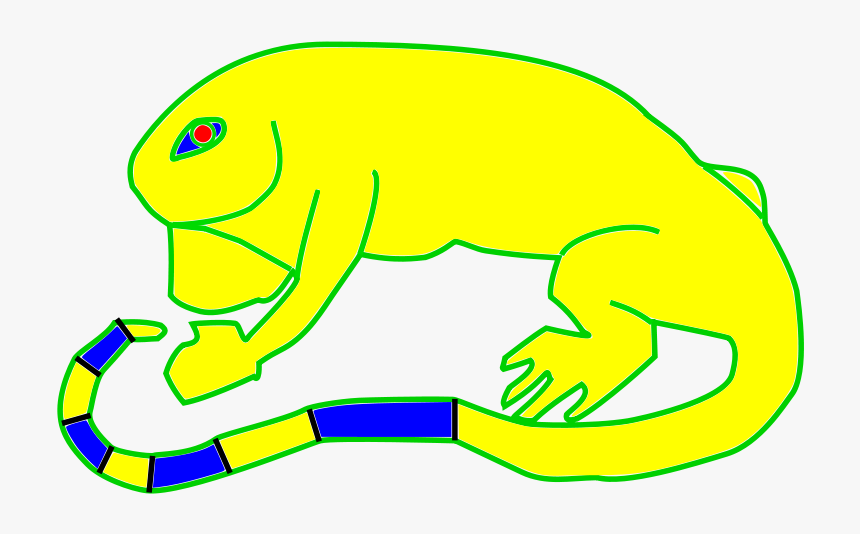 Iguana - Clip Art, HD Png Download, Free Download