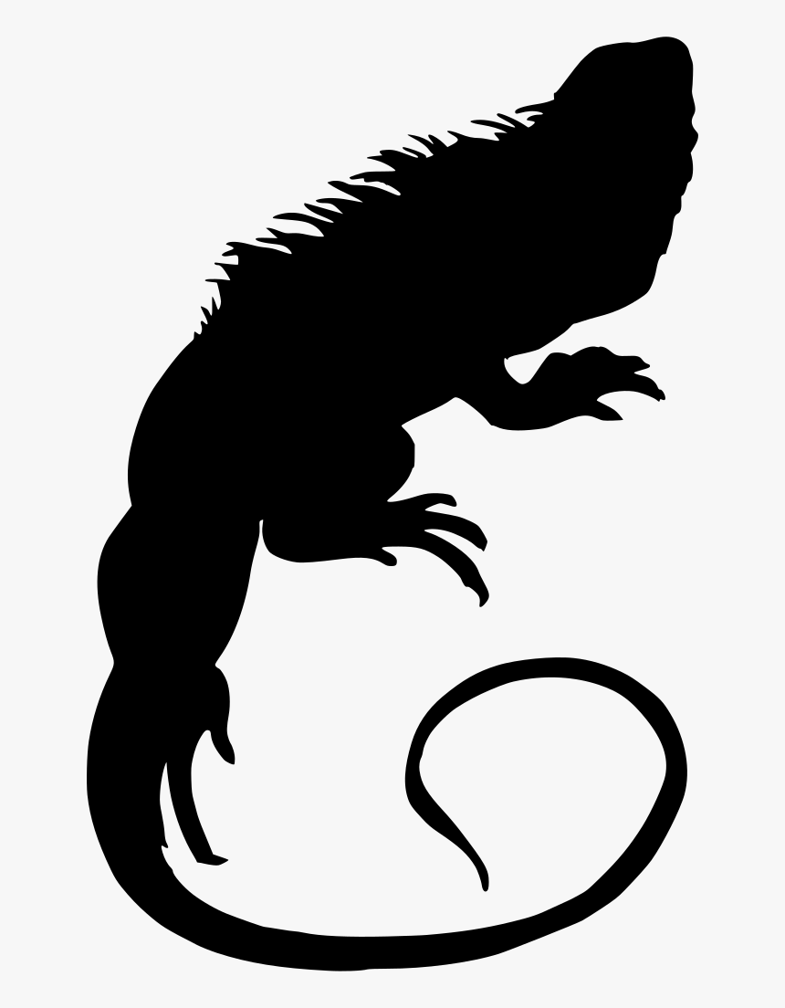 Reptile Svg, HD Png Download, Free Download