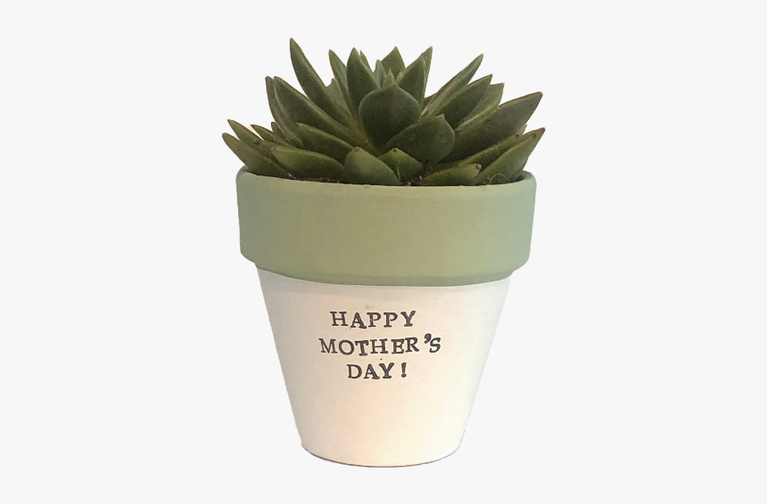 Flowerpot, HD Png Download, Free Download