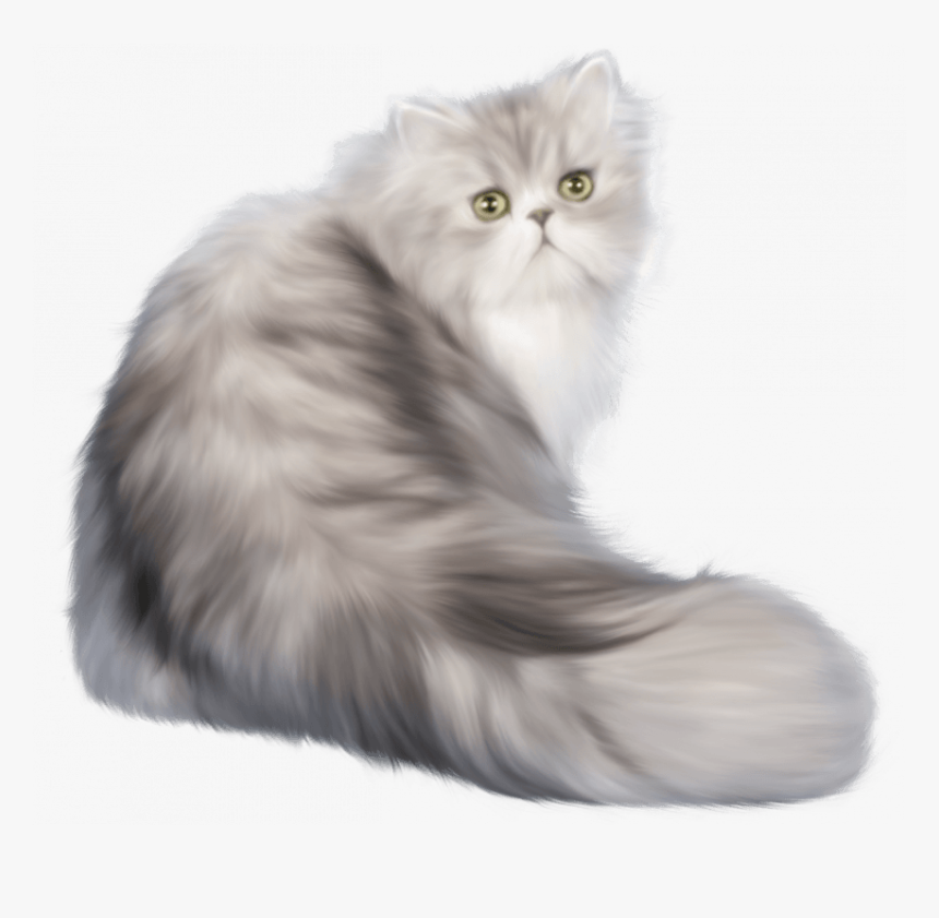 White Pussy Cat Png, Transparent Png, Free Download