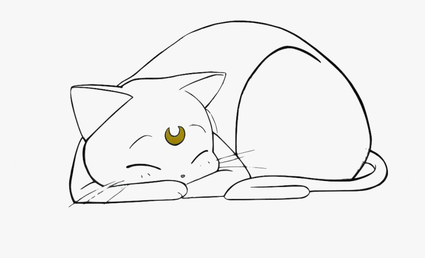 Sailor Moon Cat Png Png Download Artemis Sailor Moon Transparent Png Kindpng