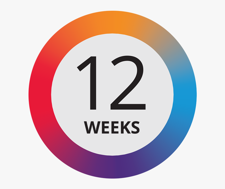 12 Weeks - Circle, HD Png Download, Free Download