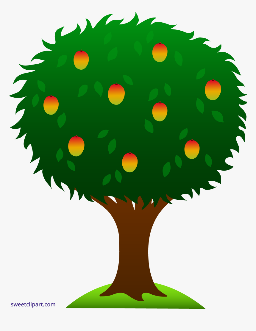 Mango Tree Clipart - Mango Tree Clip Art, HD Png Download, Free Download