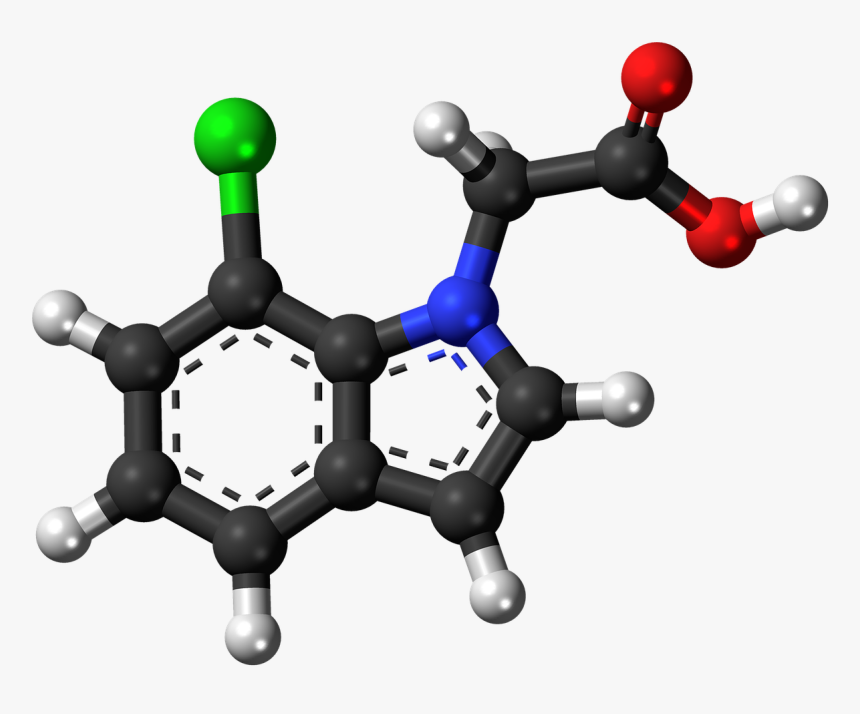 Seratonin Png, Transparent Png, Free Download