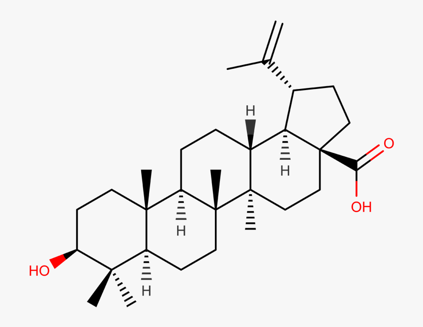 Betulinic Acid Cas 472 15 - Betulinic Acid, HD Png Download, Free Download