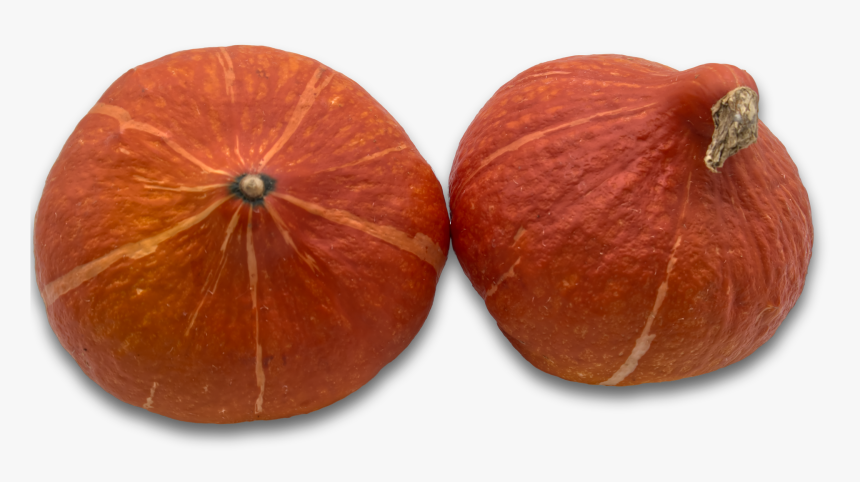 Acorn Squash, HD Png Download, Free Download