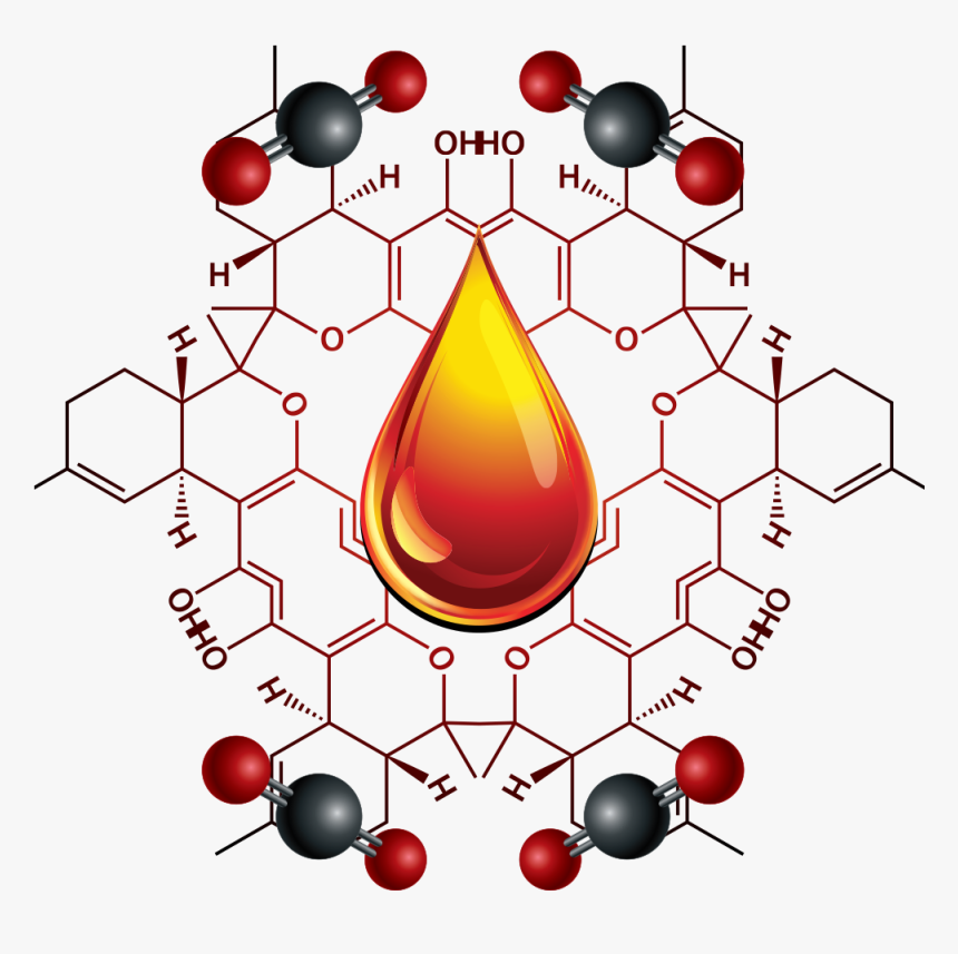 Choose Your God - Abietic Acid, HD Png Download, Free Download