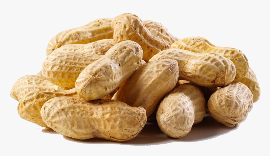 Raw Peanuts, HD Png Download, Free Download