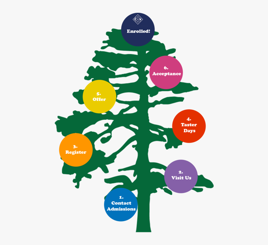 Admissions Tree - Christmas Tree, HD Png Download, Free Download