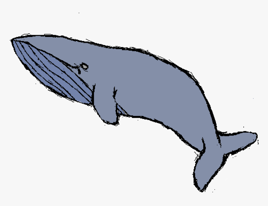 Humpback Whale, HD Png Download - kindpng