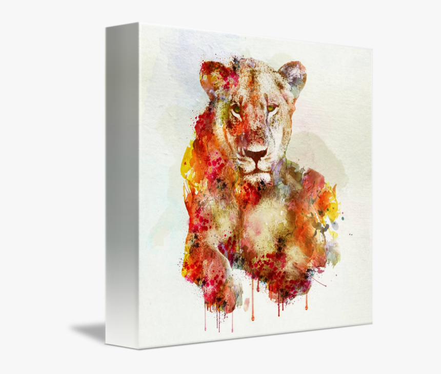 Art Lioness Lion Watercolor, HD Png Download, Free Download