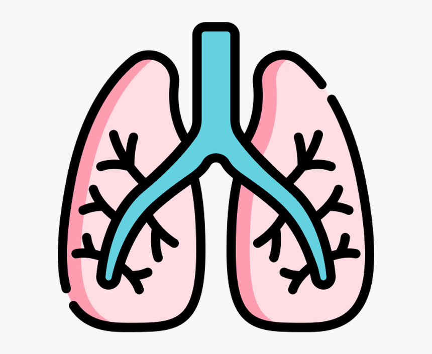 Lung Icon, HD Png Download, Free Download