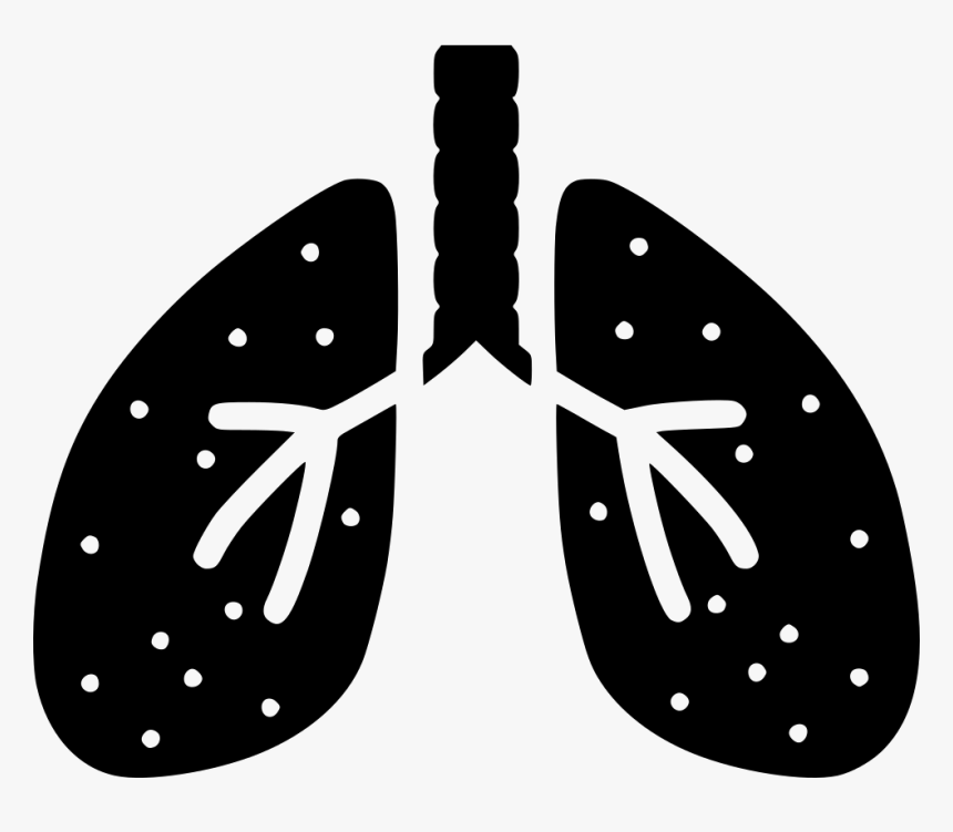 Lungs Png - Transparent Background White Lungs Png, Png Download, Free Download