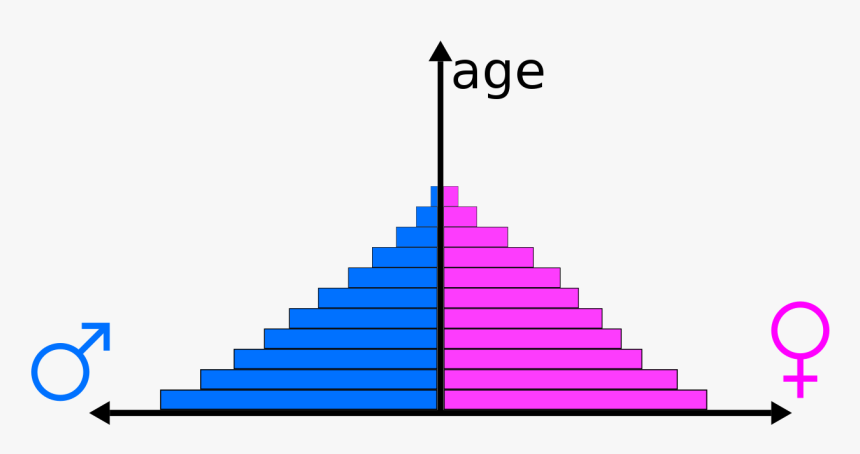 Population Pyramid, HD Png Download, Free Download