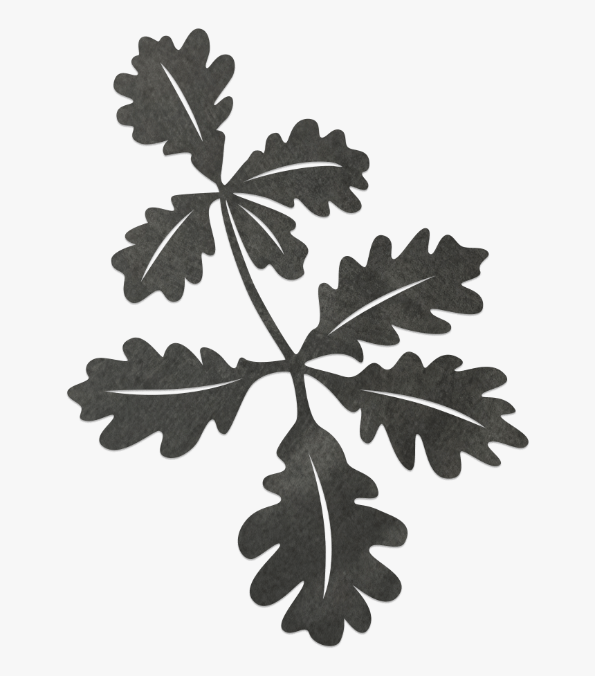 Gambel Oak, HD Png Download, Free Download