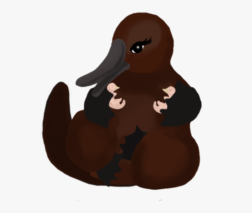 Platypus Nursing, HD Png Download, Free Download