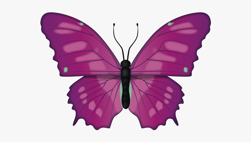 Butterfly With Spreaded Wings, HD Png Download, Free Download