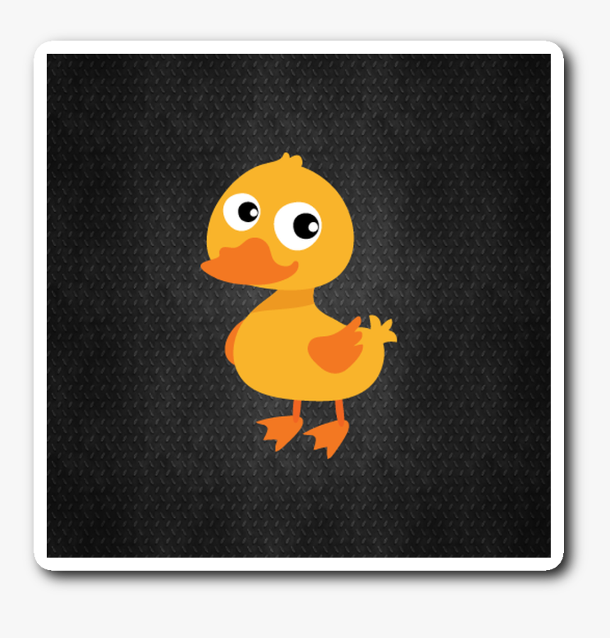 Duck, HD Png Download, Free Download