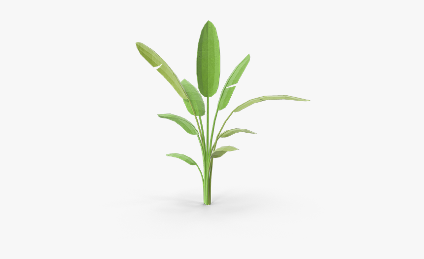 Houseplant, HD Png Download, Free Download