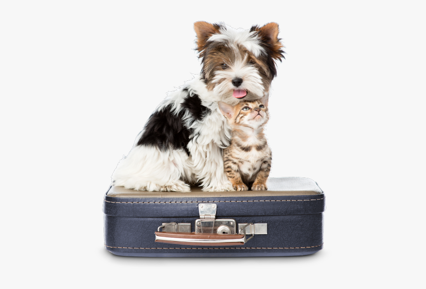 Dog Suitcase Clip Art, HD Png Download, Free Download