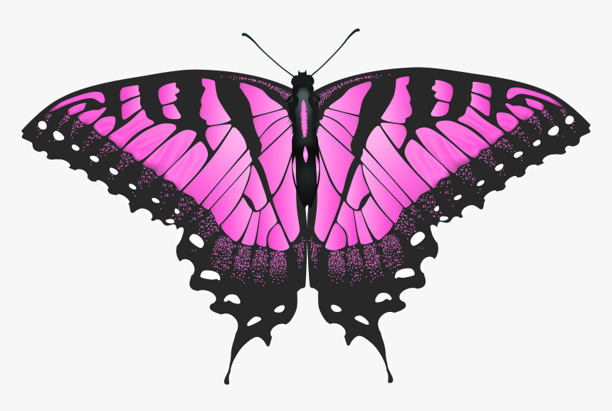 Transparent Handle Png - Butterfly Wings Yellow Tiger Swallowtail, Png Download, Free Download