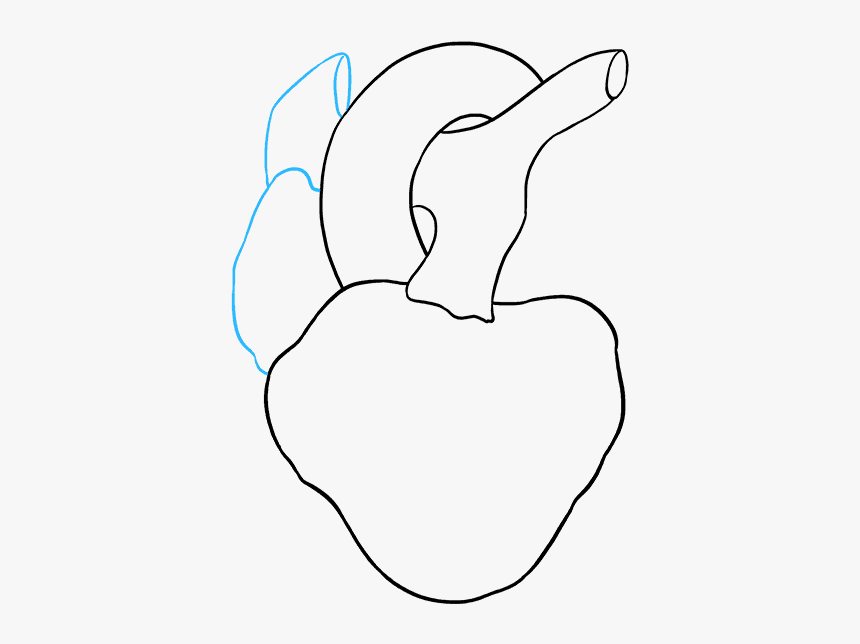 How To Draw Human Heart - Line Art, HD Png Download, Free Download