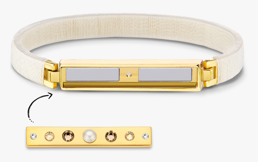 Belt , Png Download - Belt, Transparent Png, Free Download