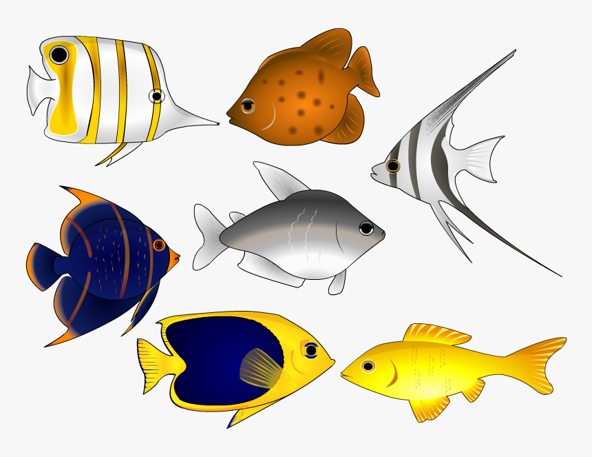 Fish Vector, HD Png Download, Free Download