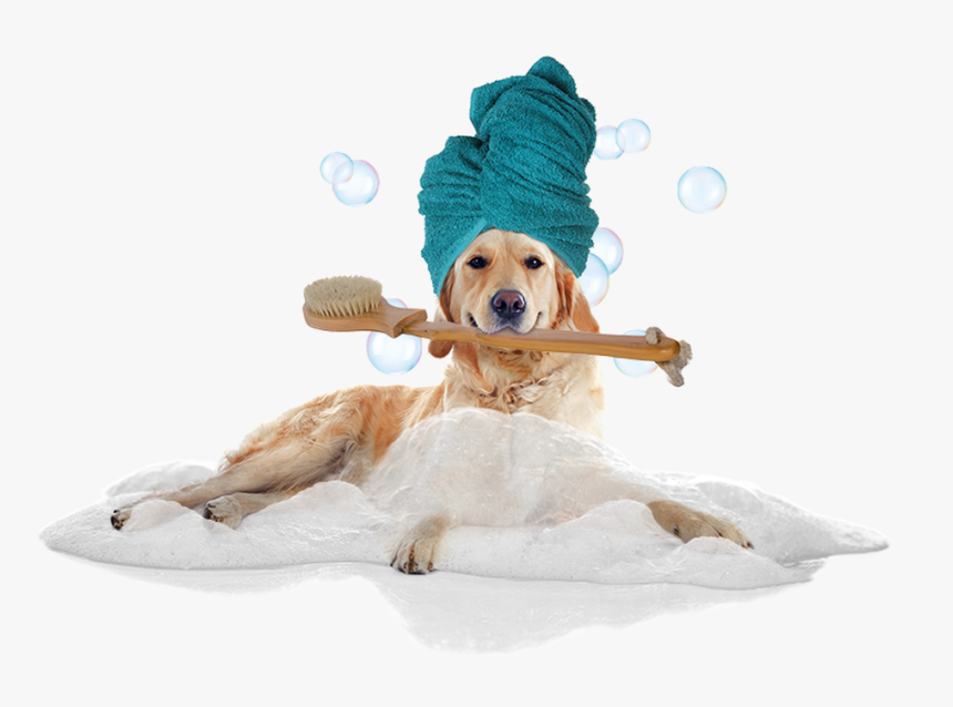 ​the Perfect Bathrobes And Towel - Dog In Bath Png, Transparent Png, Free Download