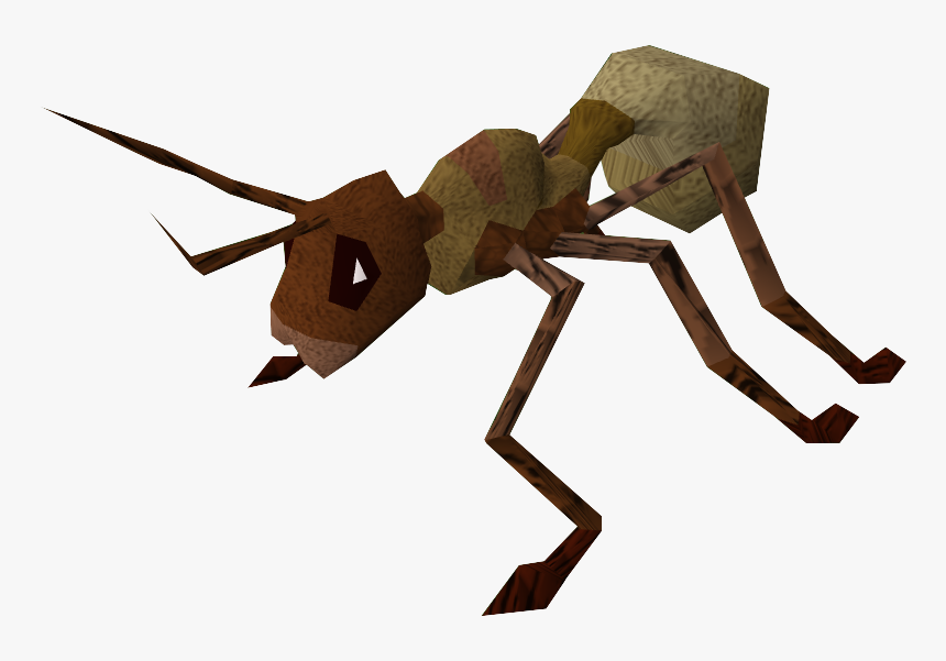 Runescape Giant Ant, HD Png Download, Free Download