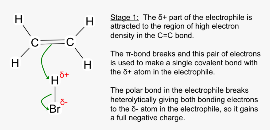 After This Stage We Are Left With A Negative Ion, And - People With Dyslexia See Words, HD Png Download, Free Download