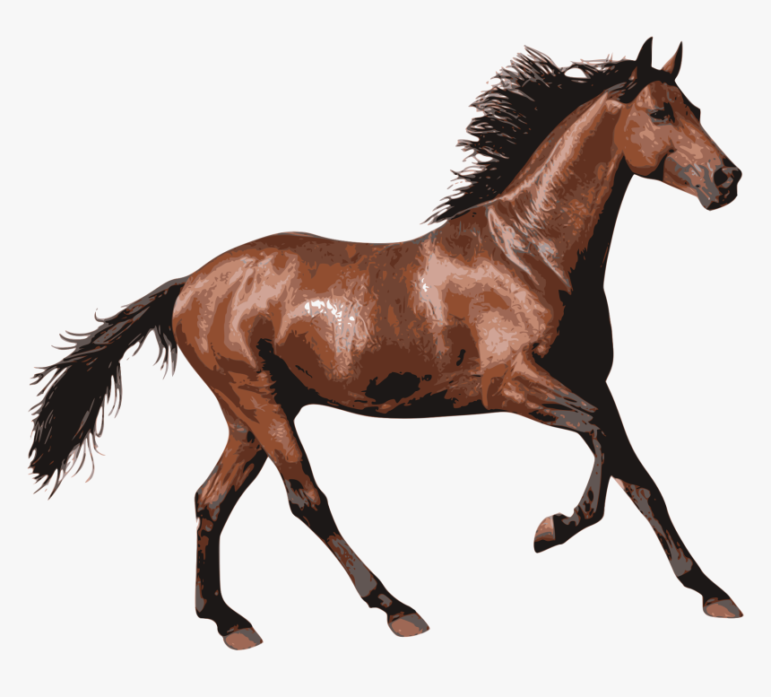 Horse Pony Clip Art - Horse Transparent, HD Png Download, Free Download