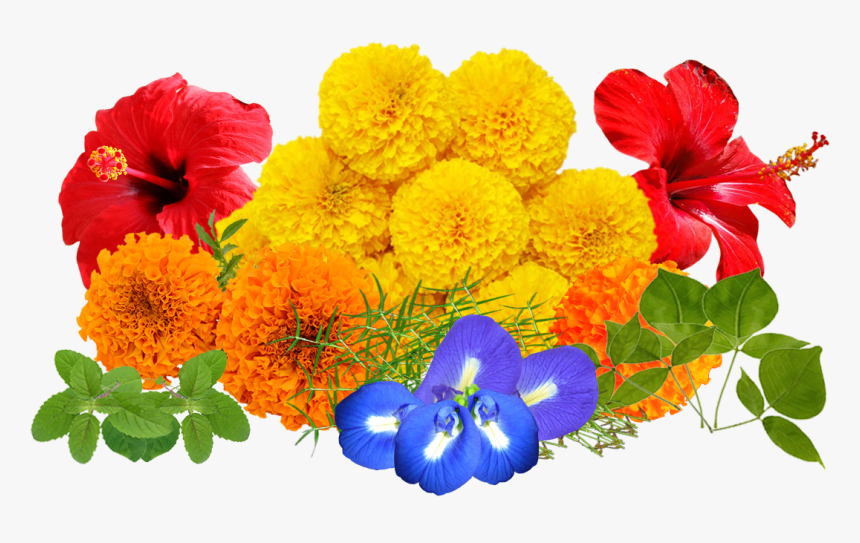 Real Floral Png - Real Flowers Png, Transparent Png, Free Download