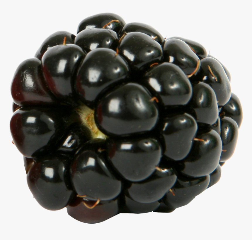 Blackberry Png - Blackberry Raspberry Png, Transparent Png, Free Download