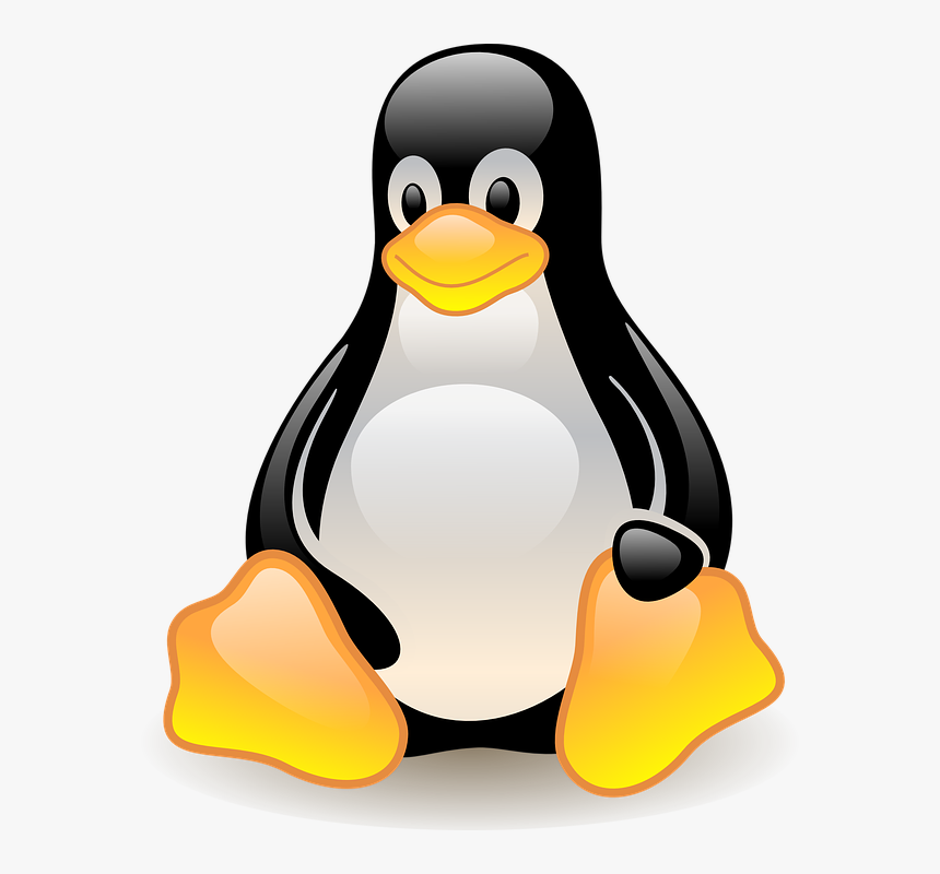 Penguin, Bird, Animal, Wildlife, Cold, Polar - Linux Security Png, Transparent Png, Free Download