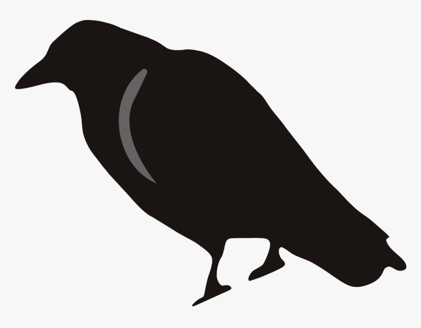 Crow Clipart Birds And Clip Art Photo Crowclipart - Crow Clip Art, HD Png Download, Free Download