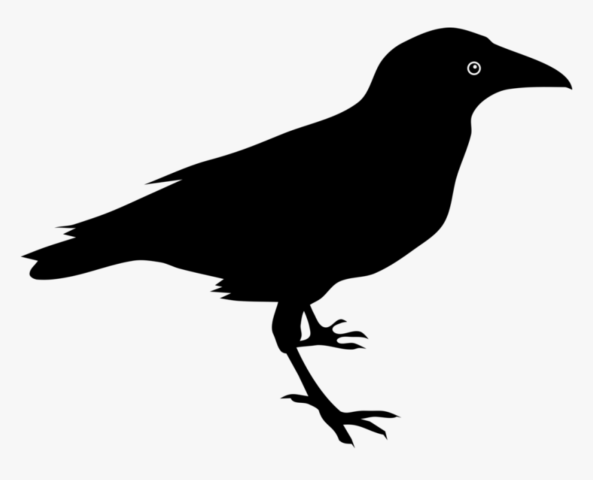 Crow Clipart Raven - Raven Clipart, HD Png Download - kindpng