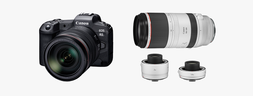 Canon Announces Development Of The Eos R5 Next Generation - Canon Rf 100 500mm, HD Png Download, Free Download