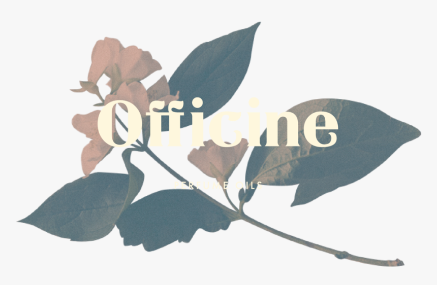 Officine Welcome 15 - Portable Network Graphics, HD Png Download, Free Download