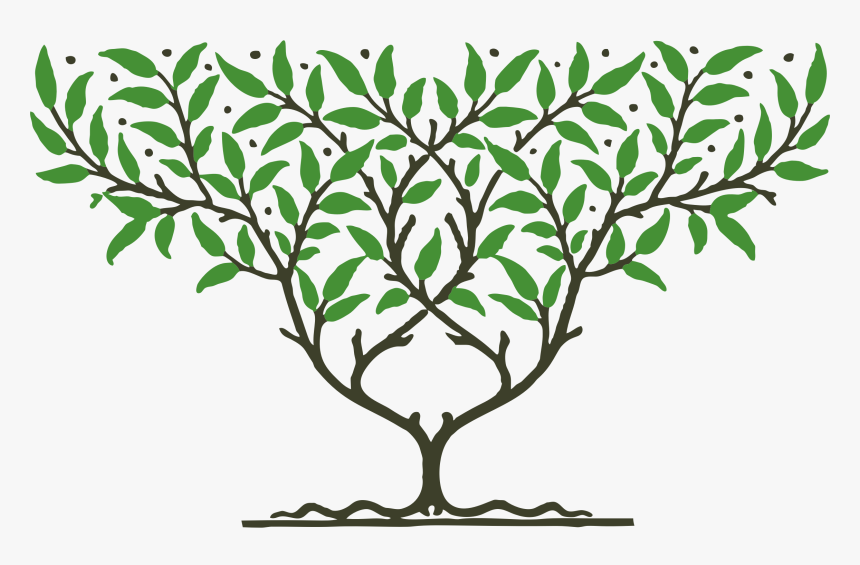 Fruit Tree By Karen Arnold, HD Png Download, Free Download