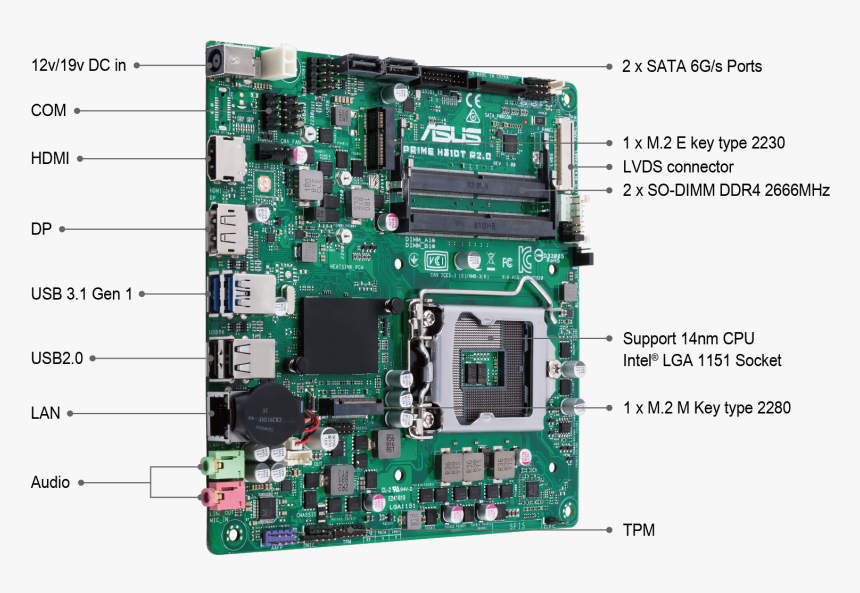 Internationally Certified Business Motherboard - Asus Prime H310t R2 0, HD Png Download, Free Download