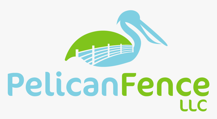 Pelican , Png Download - Pelican, Transparent Png, Free Download