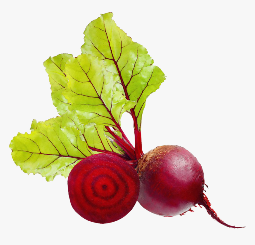 Sliced Beetroot Png Image Transparent - Beetroot Png, Png Download, Free Download