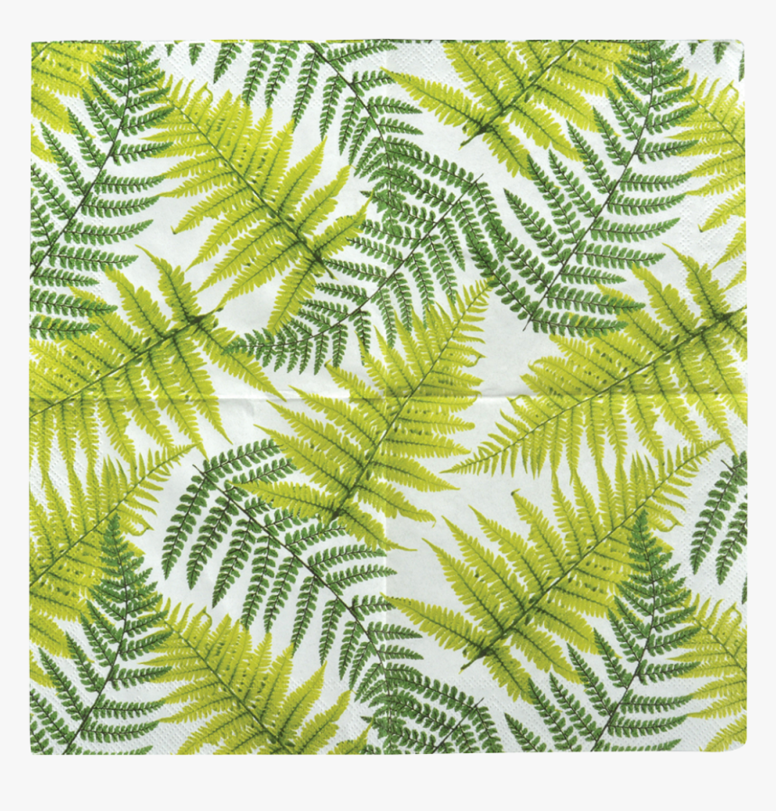 Paper Napkins Fern Cm, HD Png Download, Free Download