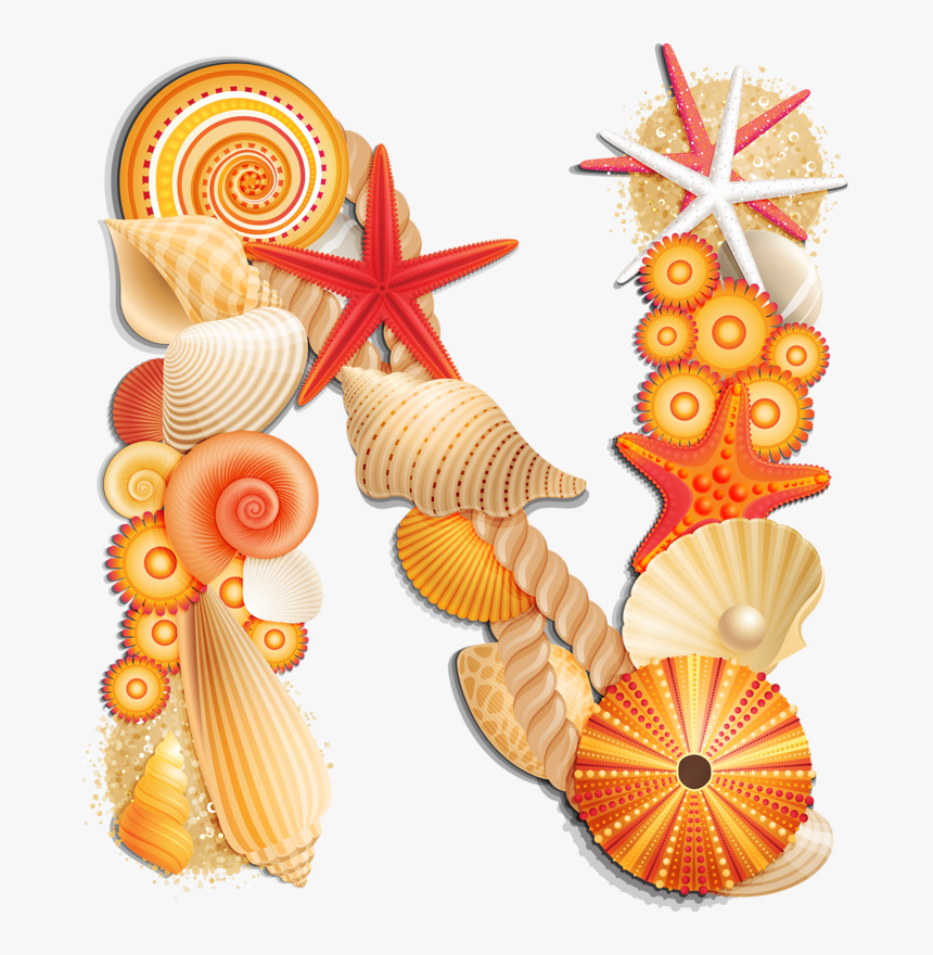 Alpha Orange Png Album - Clipart Letters Seashells, Transparent Png, Free Download