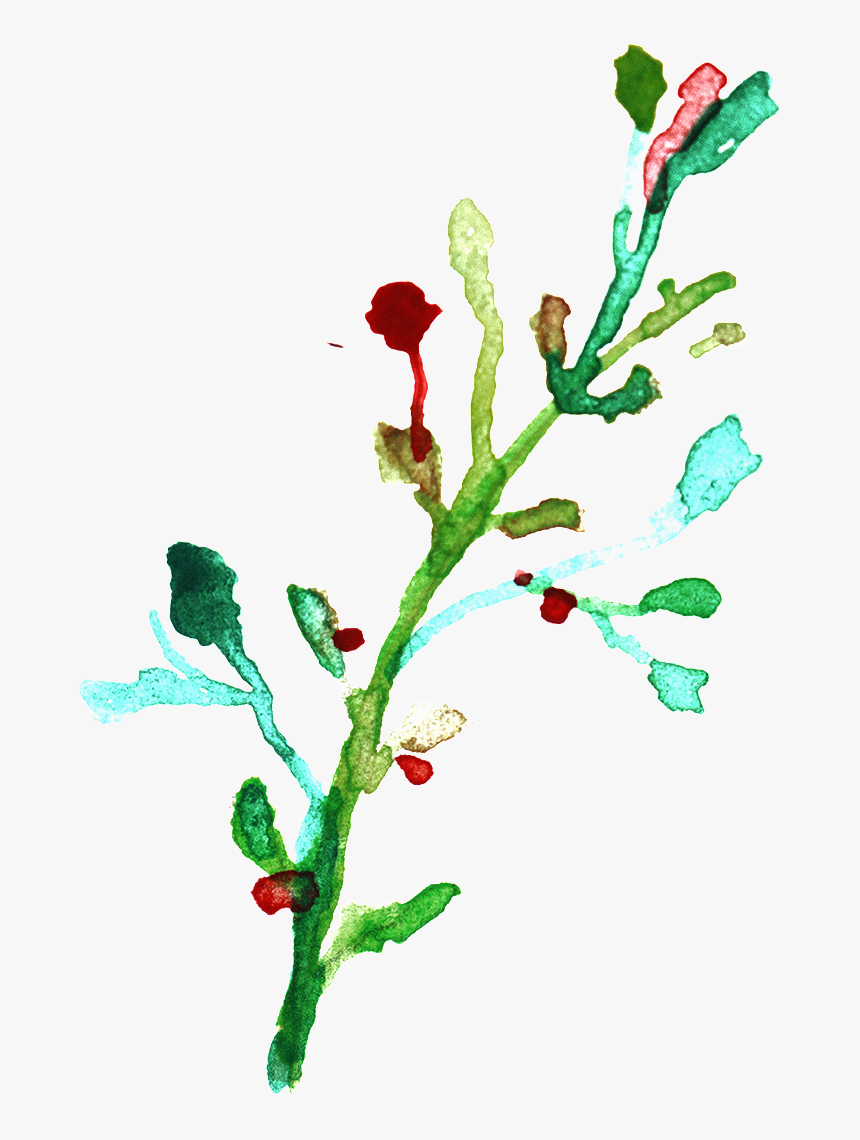 Png Transparente De Color Ramas De Flores Ornamentales - Twig, Png Download, Free Download