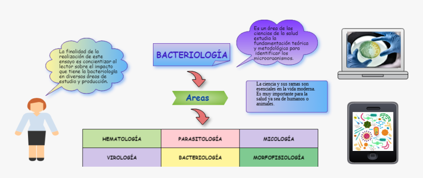 Diagram, HD Png Download - kindpng