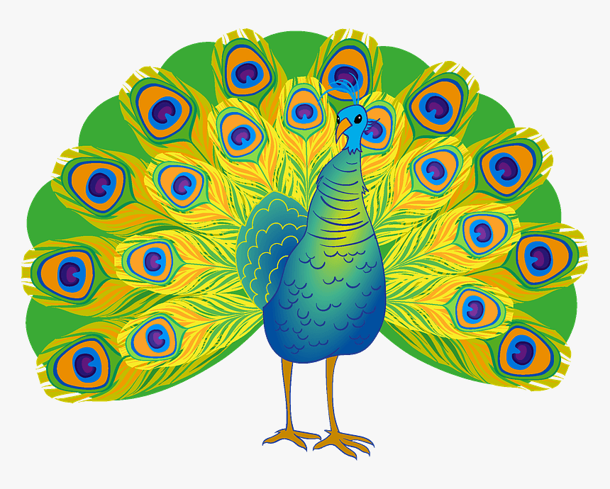 Peacock Clipart, HD Png Download - kindpng