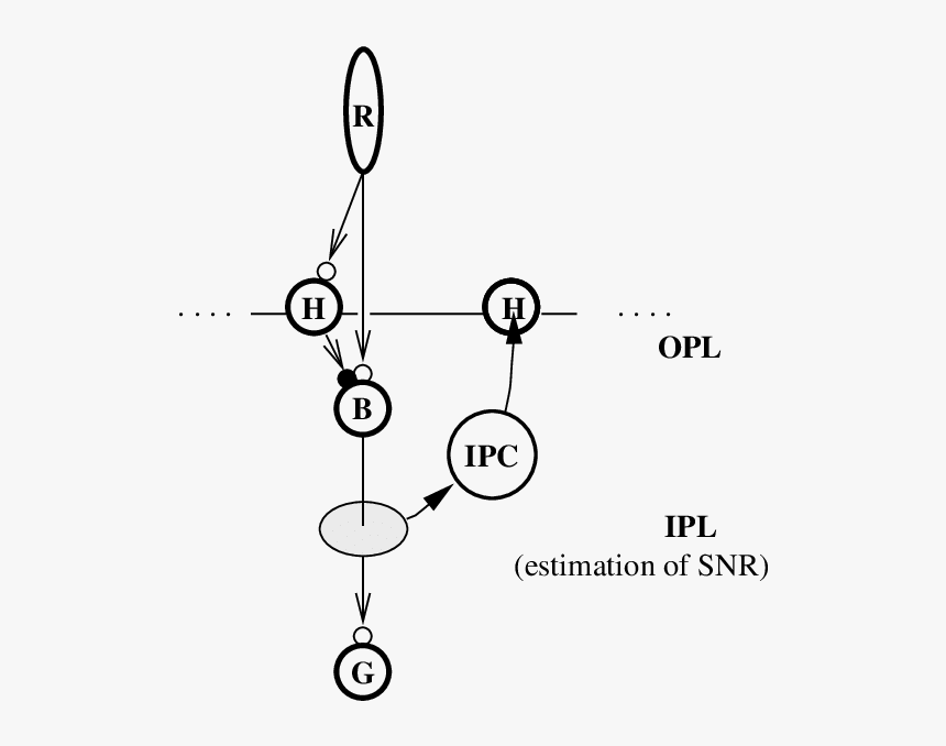 Diagram, HD Png Download, Free Download