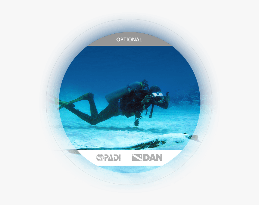 Learn More Specialty Courses - Padi, HD Png Download, Free Download